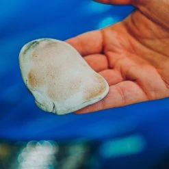 Meguiars Clay Bar Replacement -Motorcycle Equipment 248109g