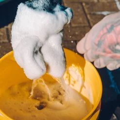 Meguiars Gold Class Car Shampoo And Conditioner 1.89 Litre -Motorcycle Equipment 538413d